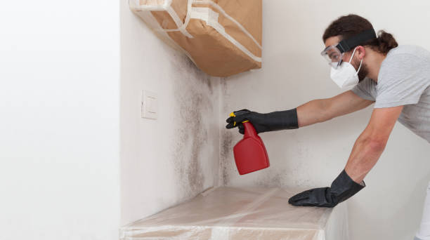 Professional Bathroom Mold Removal technician working in Marshall, MI
