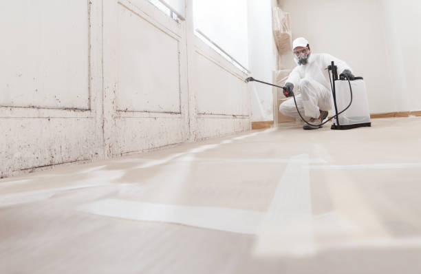 24/7 Emergency Bathroom Mold Removal experts in Marshall, MI
